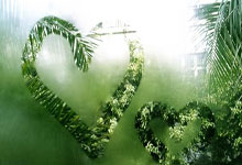 开云体育入口-印尼队横扫日本队，黄鸭组合高光表现