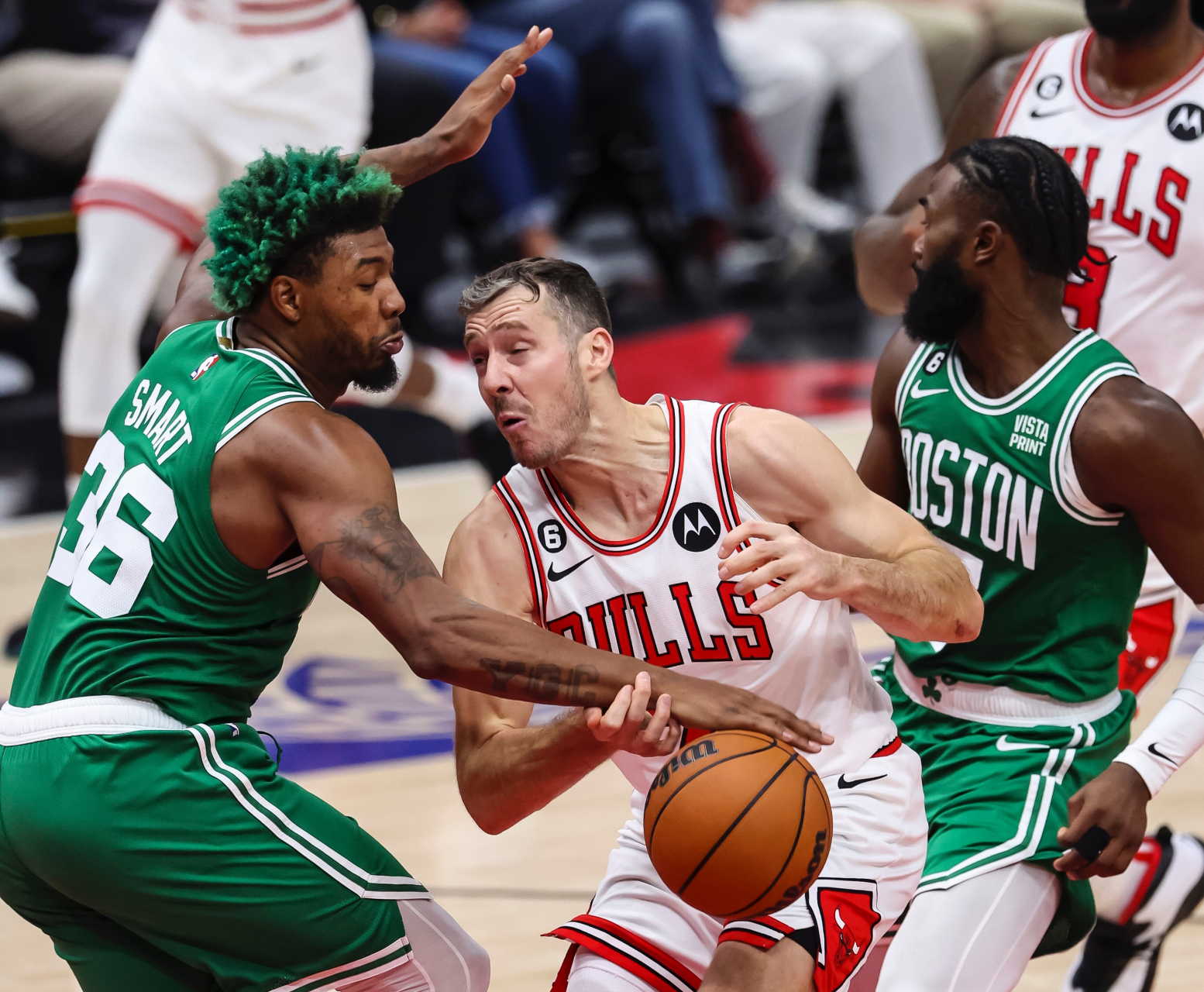 公牛轻取上海队,塔图姆统治全场 公牛轻取上海队,塔图姆统治全场