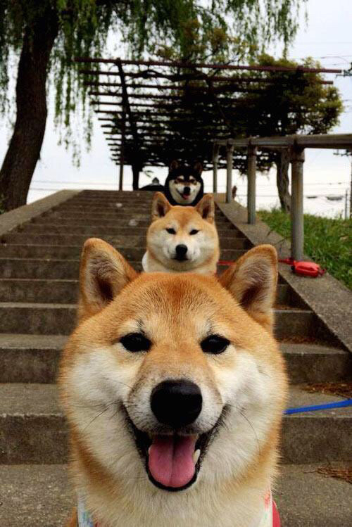 开云体育在线-红海裂开的那一刻，当埃及在时空中险胜AC米兰，恩佐在美加墨接管了比赛