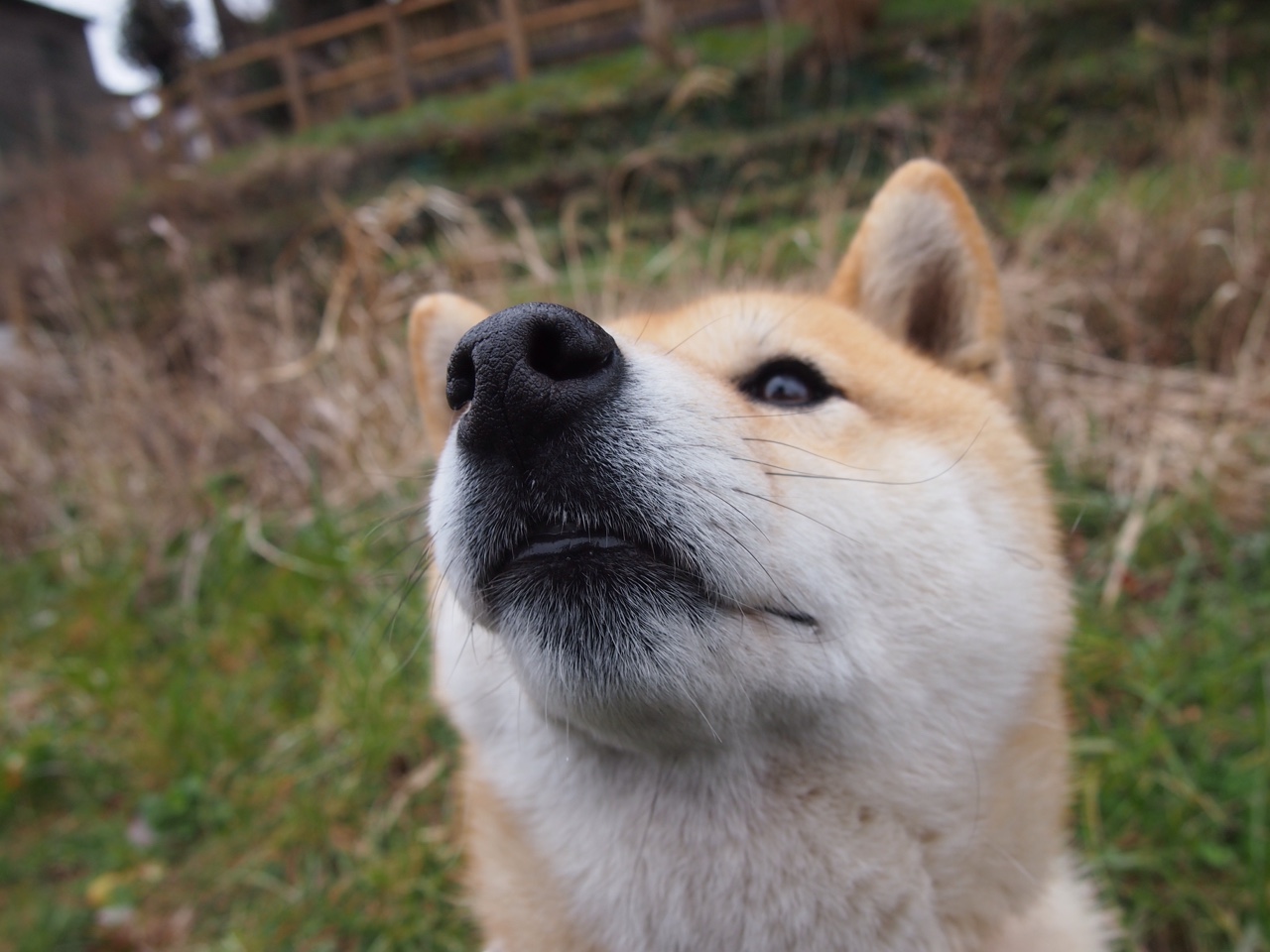 开云体育app-凡尔赛宫的舞者，绿茵场的元帅，格列兹曼如何用一场比赛定义伟大