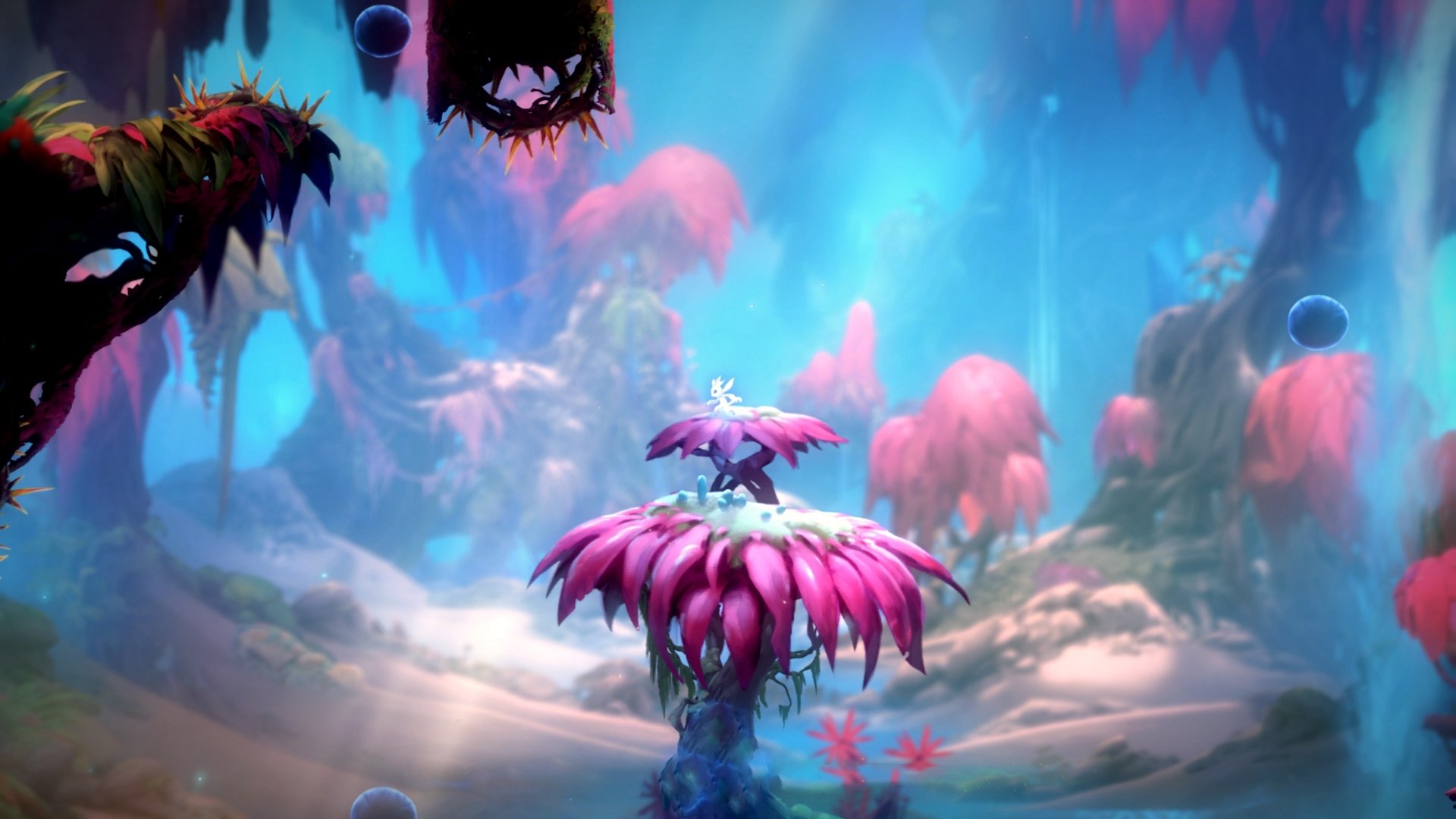 开云体育平台APP-范弗利特一战封神，森林狼对阵雷霆中的无争议MVP