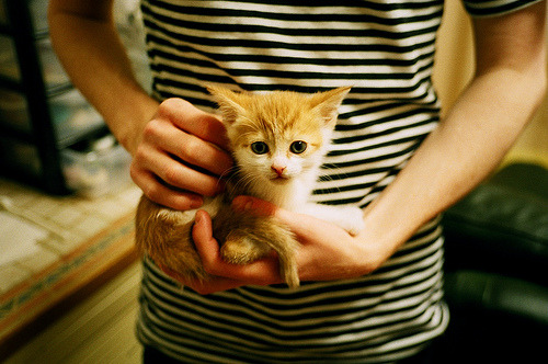 开云体育app-冰与火的对决，欧文末节19分冰封狼群，76人淬炼冠军相