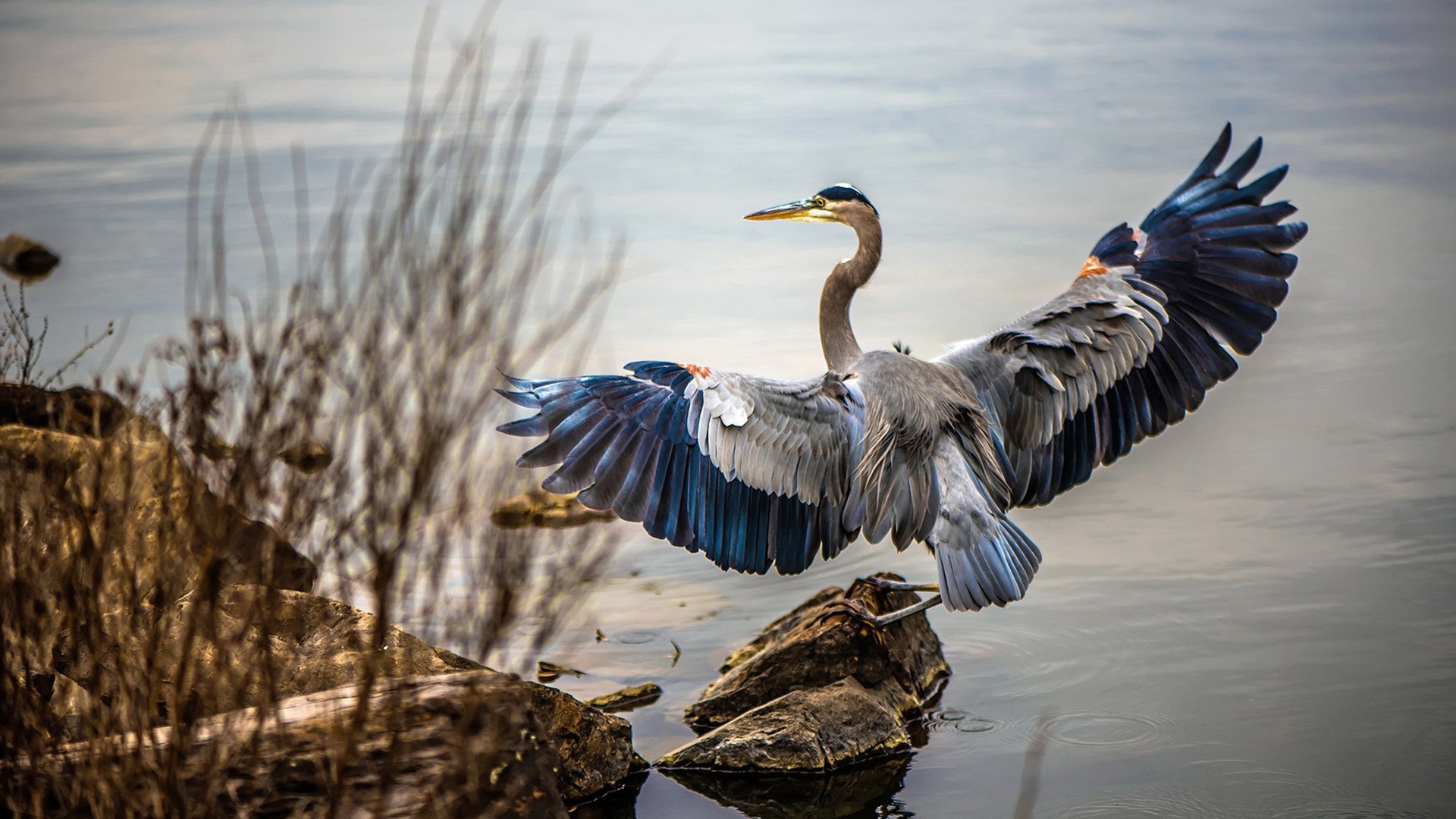 开云体育中国-当恩比德成为棋盘上的国王，马刺对阵骑士一役中的攻防绝对统治