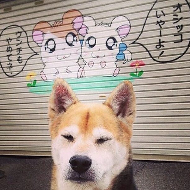 心脏在10.2秒，马克西如何让时间臣服于节奏