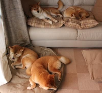 当吉林队112-66碾压热火，我在梦中见证保罗的生涯之夜