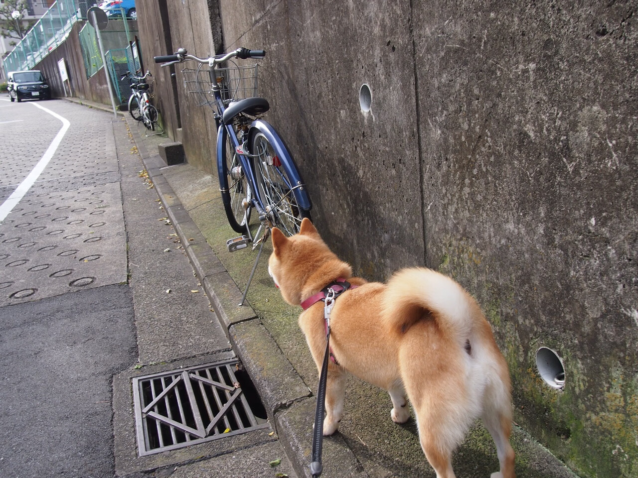 当秩序崩塌时,唯一比赛定义者的诞生