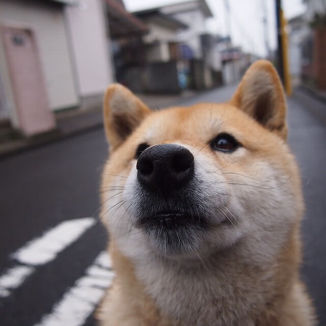 开云体育中国-钢铁防线与孤胆英雄，奇才铁血防守锁死上海，布伦森单骑救主