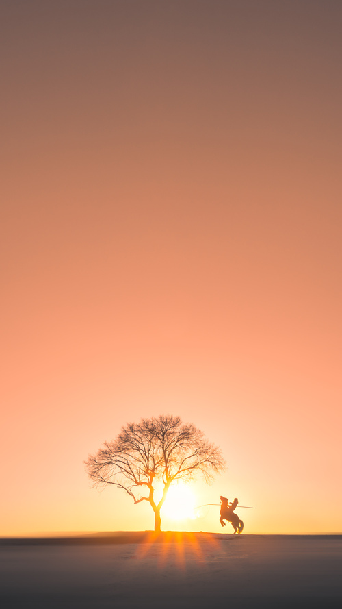 开云sport-掌控之手，米切尔的掌纹如何烙在太阳与猛龙的战局之上