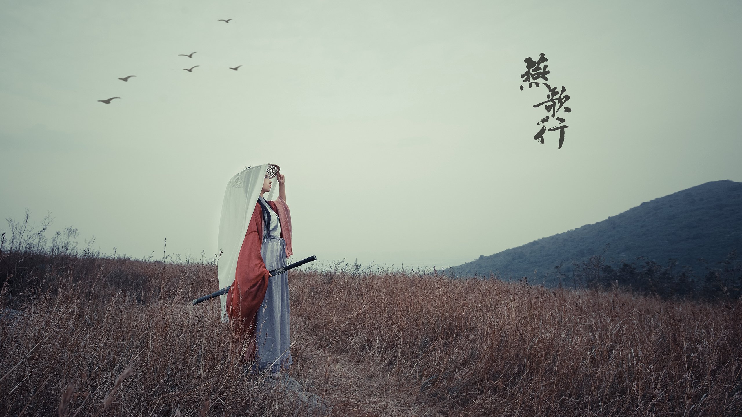 开云体育在线-国王对阵辽宁队，约基奇用一场球商风暴，证明了篮球最坚固的壁垒