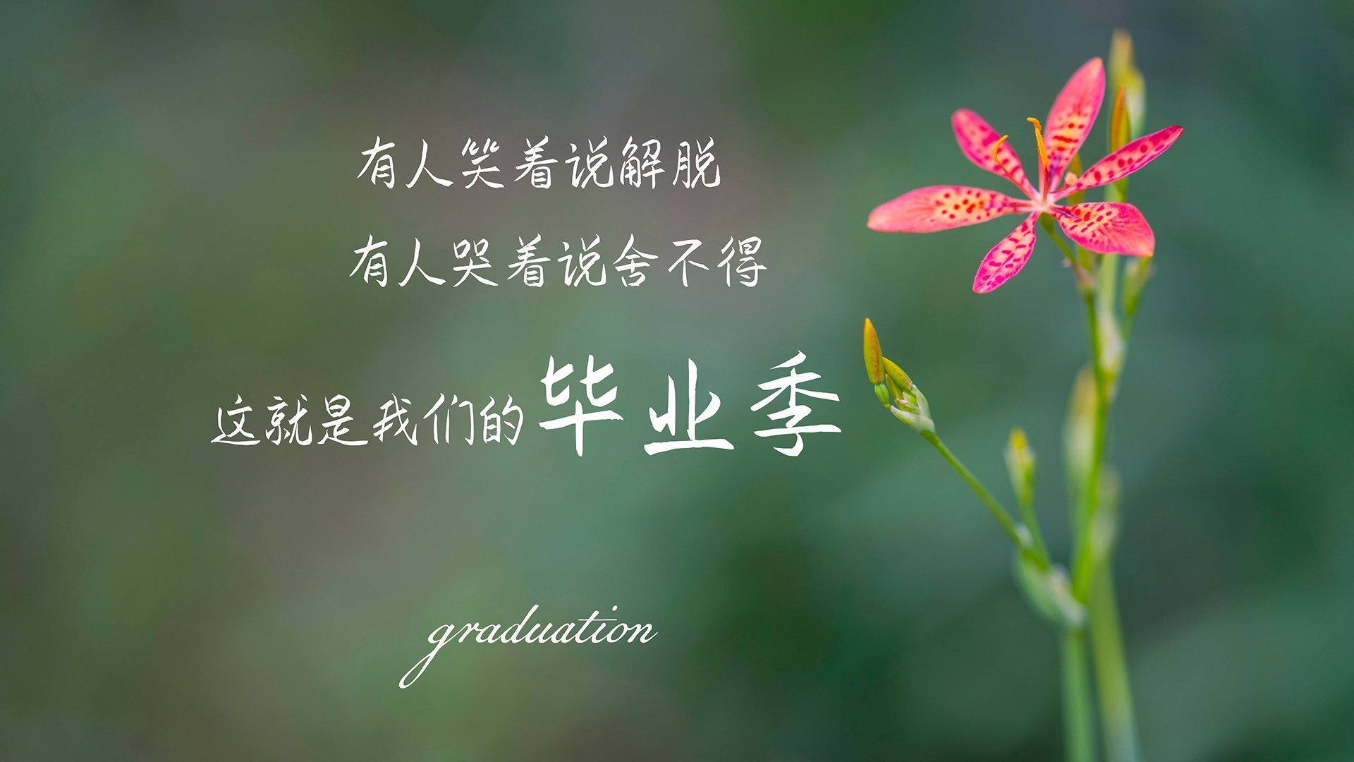 开云sport-绝杀奇迹！公牛加时逆转广东，新星杰伦格林一战封神