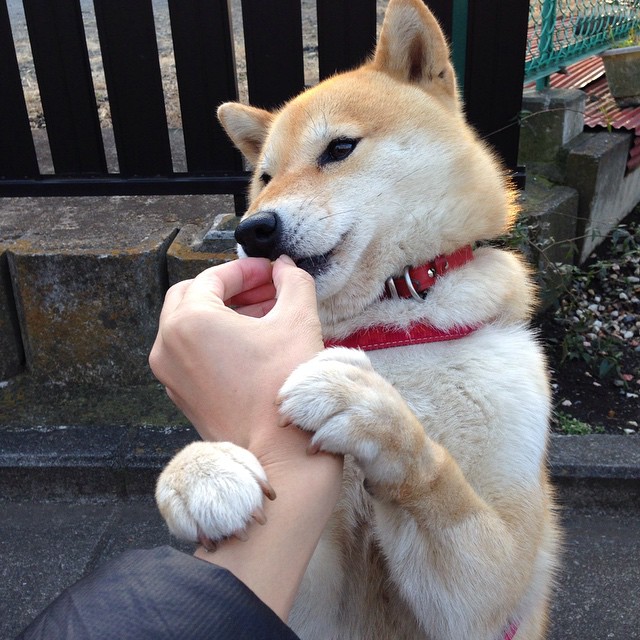 开云体育2026-阿圭罗数据全面爆炸，AC米兰淘汰尤文图斯晋级关键战