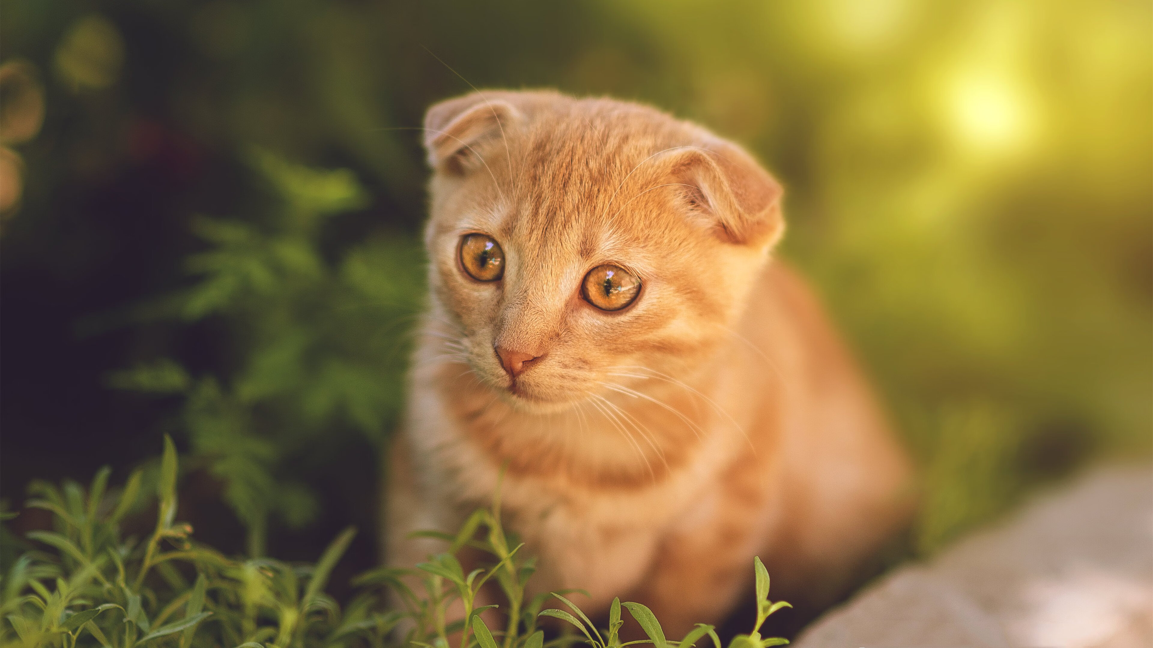 开云体育在线-平行世界的关键节点，当新疆队遭遇76人，布克用连续得分改写剧本