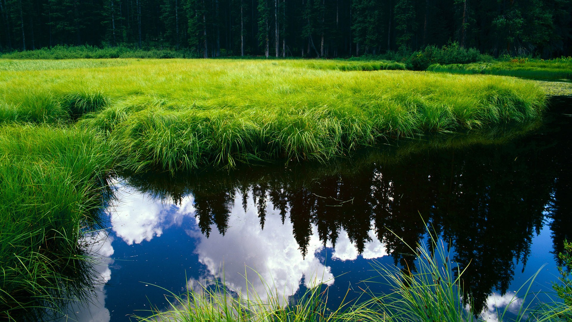 开云sport-永恒十秒，戈麦斯的2026世界杯之夜，与改写命运的一击