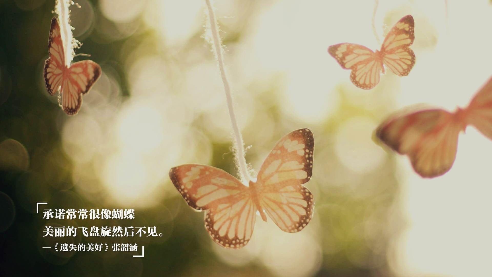 美加墨世界杯焦点战，乌拉圭关键战突围，贝蒂斯神话终结