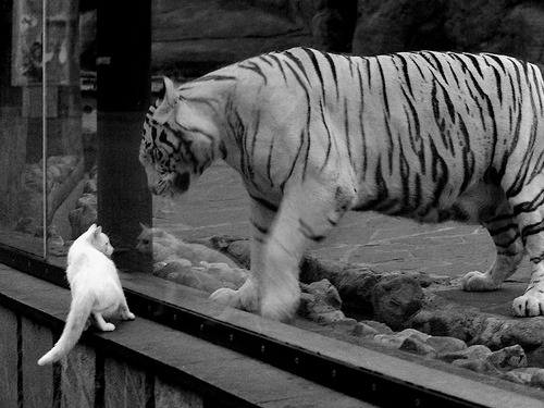 末节决胜！浓眉接管关键时刻 热火窒息攻防带走湖人