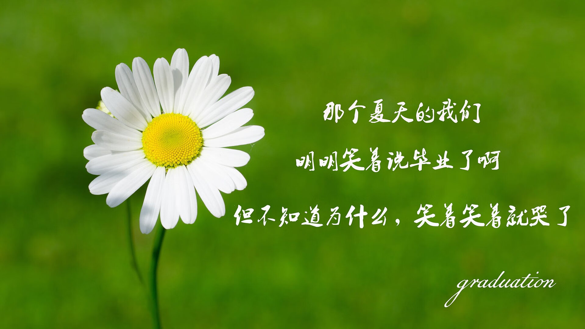 东方纪律撕裂西方天赋,哈利伯顿在深圳的跨洋统治之战