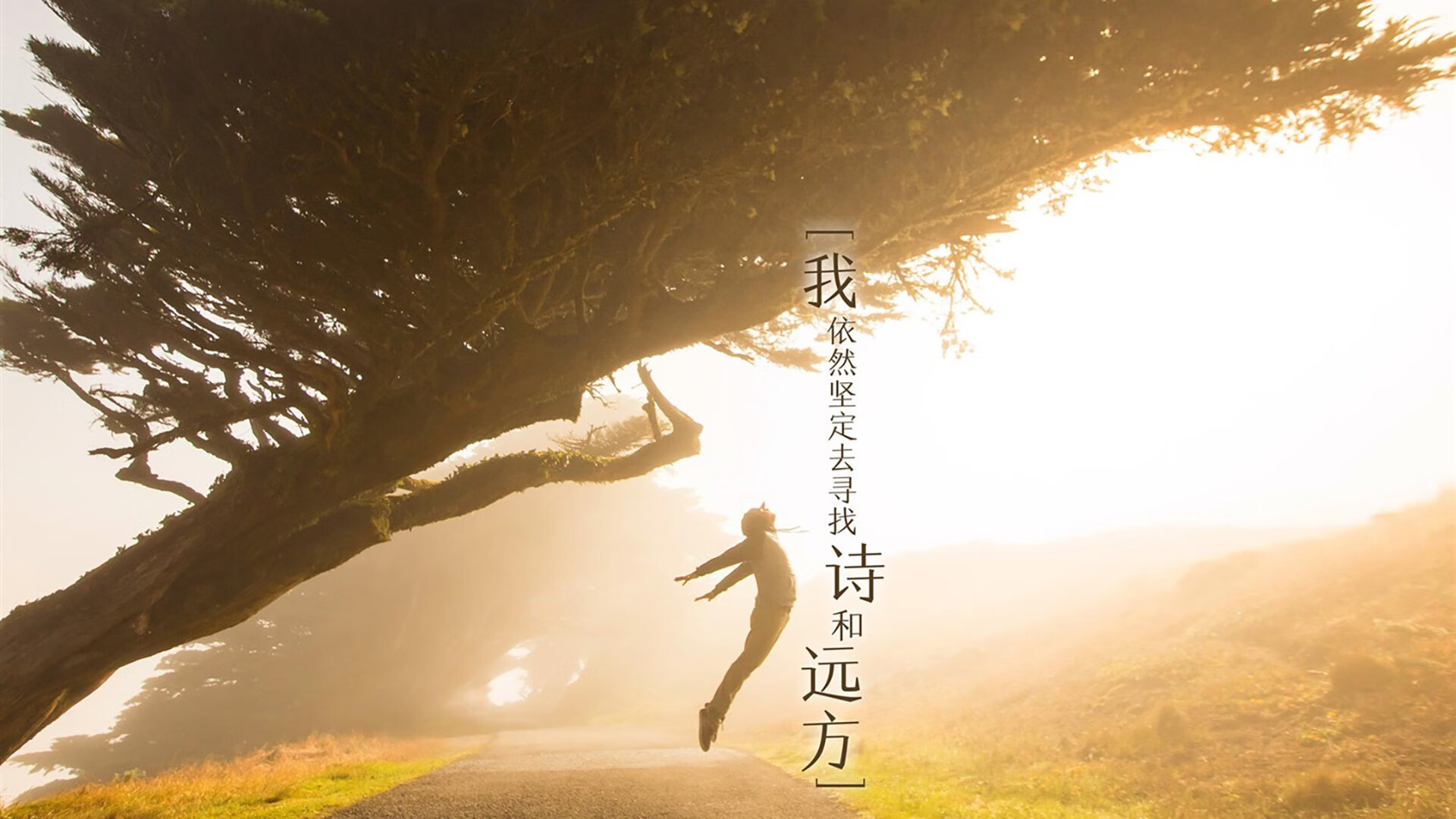 开云体育官网-潮汐的悖论，范戴克一剑封喉，摩洛哥的压制为何沦为斯洛伐克节奏的祭品